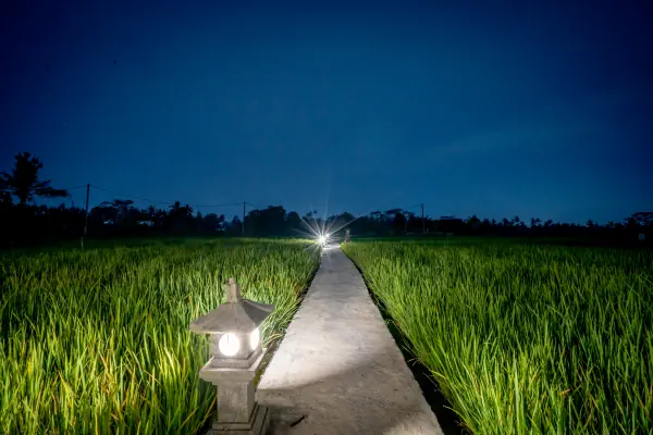 Photo of The Wise Ubud, Bali